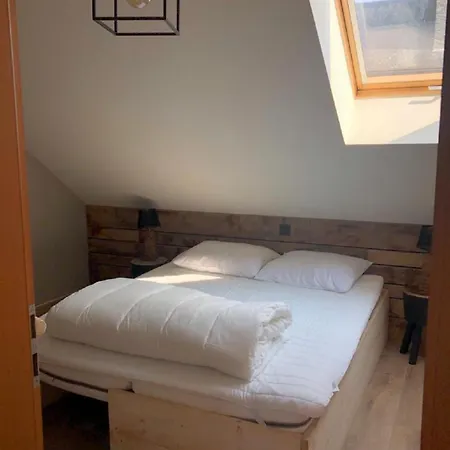 Les Hirondelles De 더뷔